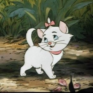 Meet your Posher, Isabella